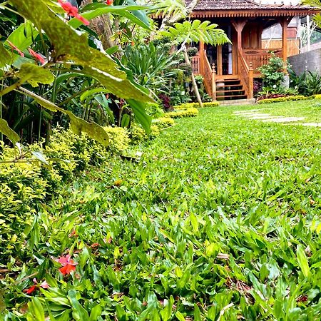 Jane'S House & Spa Bedugul Bali Patjung エクステリア 写真