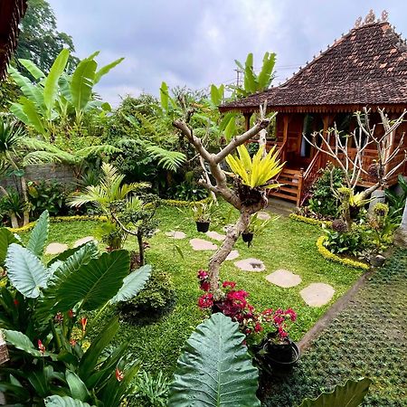 Jane'S House & Spa Bedugul Bali Patjung エクステリア 写真