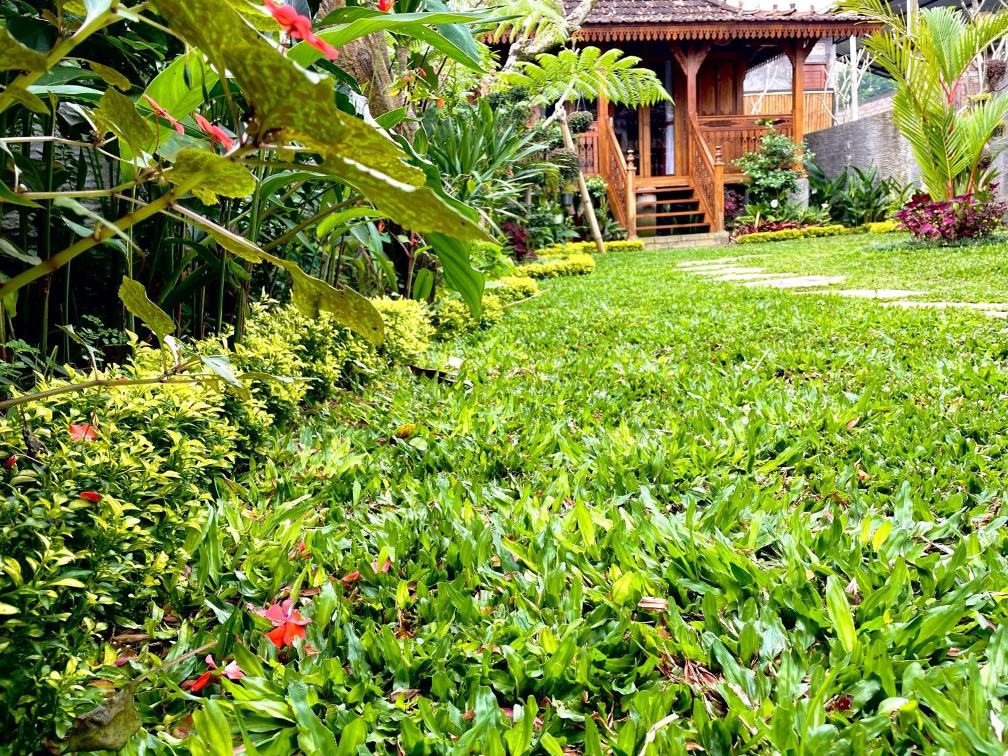 Jane'S House & Spa Bedugul Bali Patjung エクステリア 写真